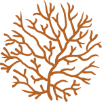 Coral or root pattern