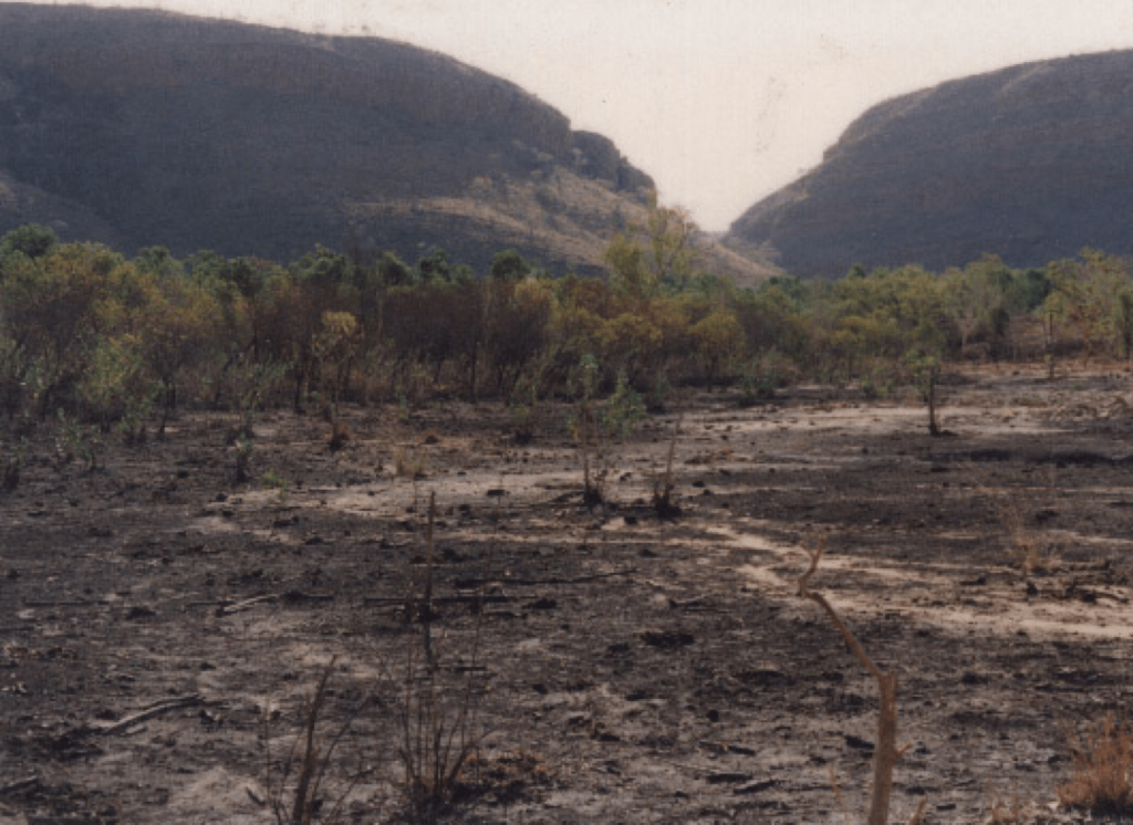 A picture of a desertified field Australia in 1992