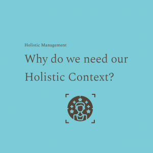 header saying 'why do we need our holistic context'
